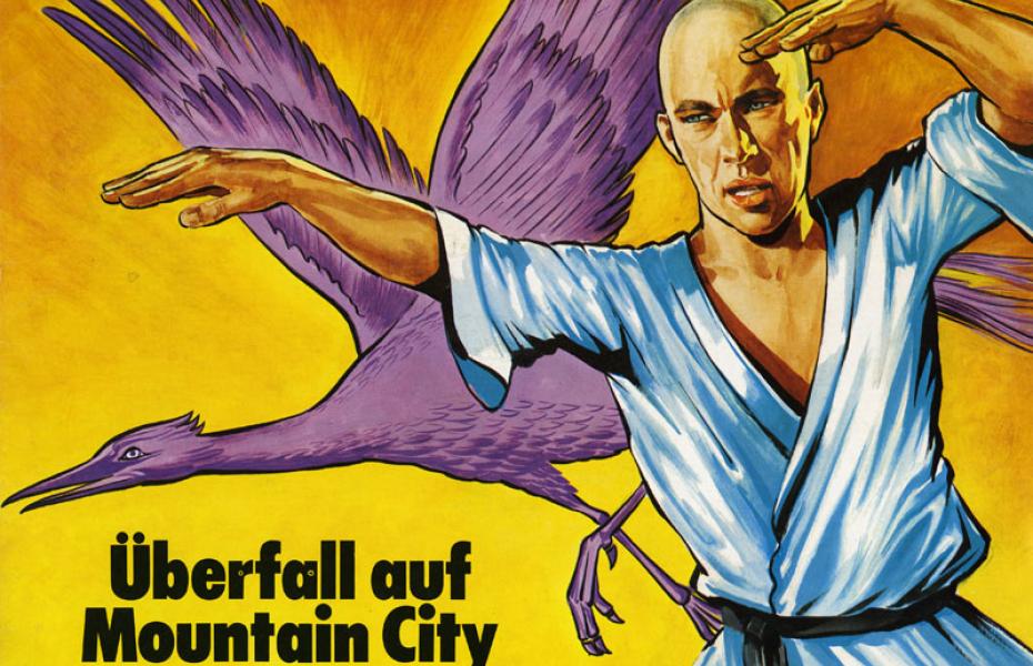 Überfall auf Mountain City (Reihe: Kung-Fu; 3)