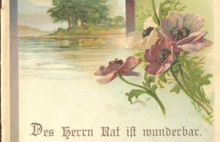 Des Herrn Rat ist wunderbar (Reihe: Nonnenweierer Jugendschriften ; 115)