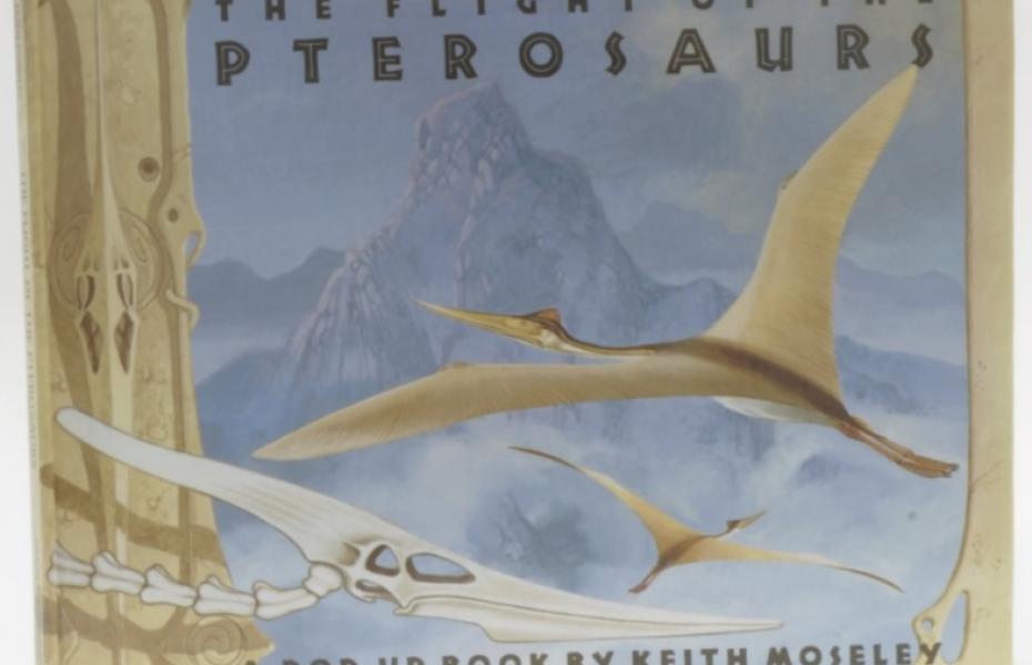 The Flight of the Pterosaurs