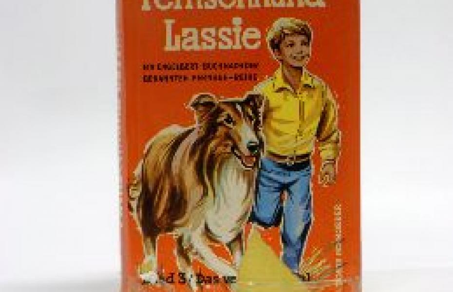 Das verbotene Tal (Reihe: Fernsehhund Lassie ; 3)